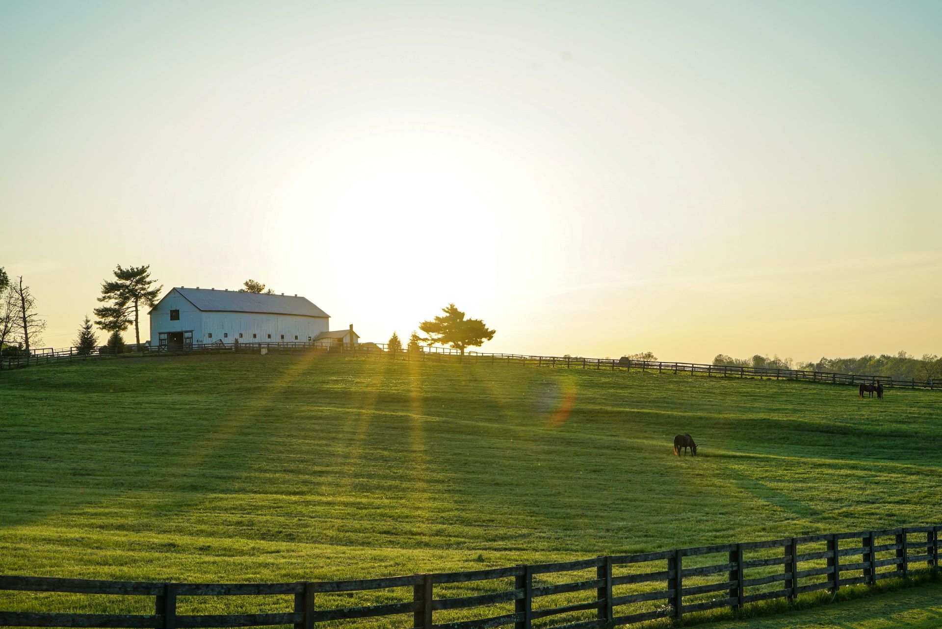 Farm Sunrise