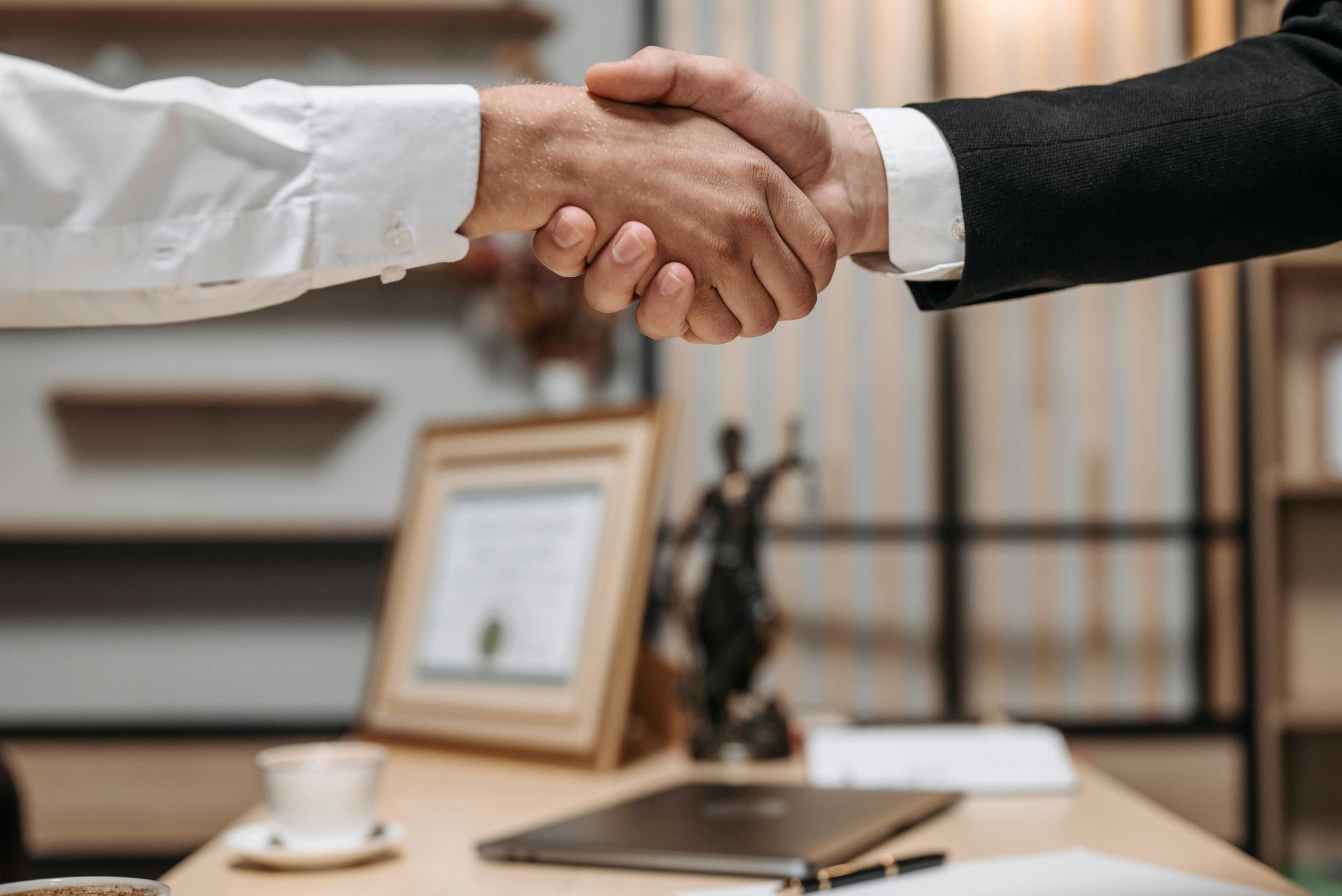 Professional Shaking Hands